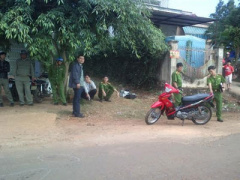 Ảnh bìa bài viết 276730