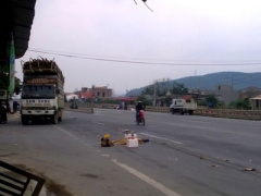 Ảnh bìa bài viết 276857