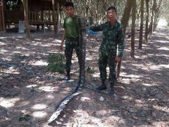 Ảnh bìa bài viết 276880
