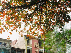 Ảnh bìa bài viết 276931