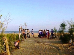 Ảnh bìa bài viết 276994