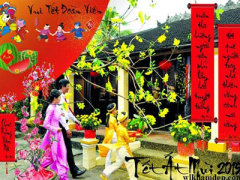 Ảnh bìa bài viết 277075