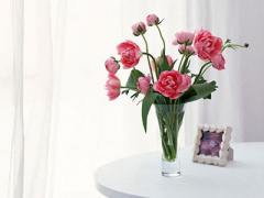 Ảnh bìa bài viết 277027
