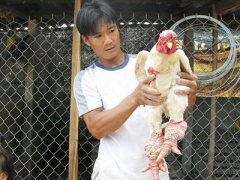 Ảnh bìa bài viết 277037