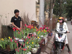 Ảnh bìa bài viết 277046