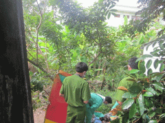 Ảnh bìa bài viết 277279