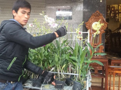 Ảnh bìa bài viết 277186