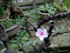 Ảnh bìa bài viết 277413