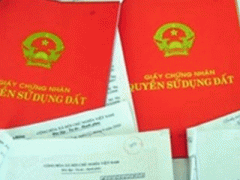 Ảnh bìa bài viết 277454