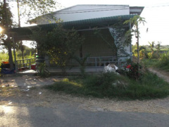 Ảnh bìa bài viết 277444