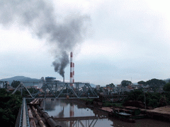 Ảnh bìa bài viết 277626