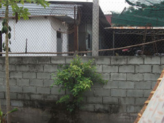 Ảnh bìa bài viết 277606