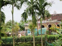 Ảnh bìa bài viết 278101