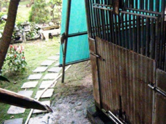 Ảnh bìa bài viết 278316