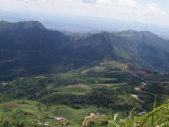 Ảnh bìa bài viết 278229