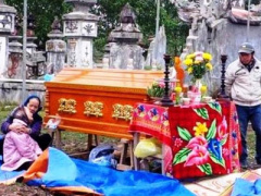 Ảnh bìa bài viết 278356