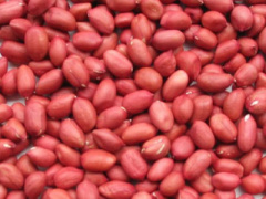 Ảnh bìa bài viết 278504