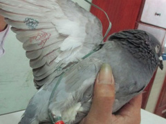 Ảnh bìa bài viết 278651