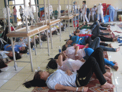 Ảnh bìa bài viết 278927