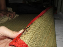 Ảnh bìa bài viết 278825