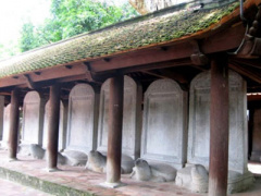 Ảnh bìa bài viết 279025