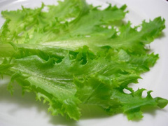 Ảnh bìa bài viết 279122