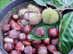 Ảnh bìa bài viết 279200