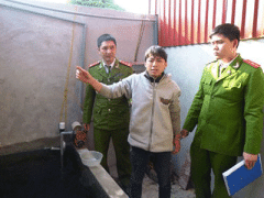 Ảnh bìa bài viết 279295