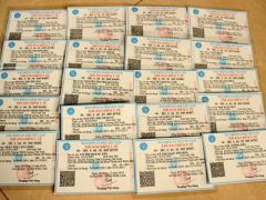 Ảnh bìa bài viết 279461