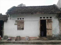 Ảnh bìa bài viết 279596