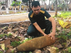 Ảnh bìa bài viết 279657