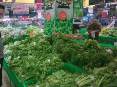 Ảnh bìa bài viết 279661