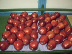 Ảnh bìa bài viết 279762