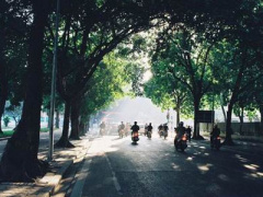 Ảnh bìa bài viết 279663