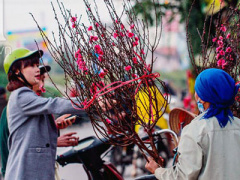 Ảnh bìa bài viết 280715