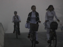 Ảnh bìa bài viết 280670