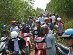 Ảnh bìa bài viết 280937