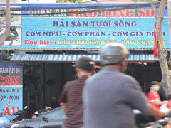 Ảnh bìa bài viết 281173