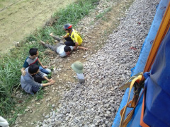 Ảnh bìa bài viết 281195