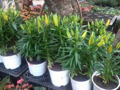 Ảnh bìa bài viết 281240