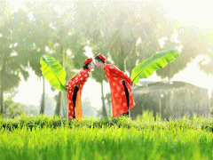 Ảnh bìa bài viết 281455