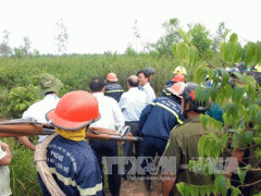 Ảnh bìa bài viết 281459