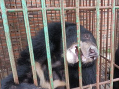 Ảnh bìa bài viết 281480
