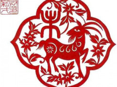 Ảnh bìa bài viết 281502