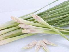Ảnh bìa bài viết 281573