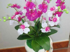 Ảnh bìa bài viết 281499