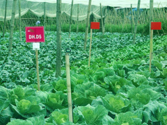 Ảnh bìa bài viết 281666