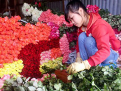 Ảnh bìa bài viết 281632