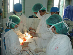 Ảnh bìa bài viết 281638