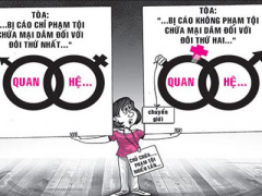 Ảnh bìa bài viết 281603